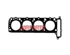 1190163520 Cylinder Head Gasket