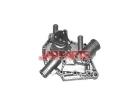 7701460696 Water Pump