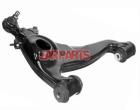 1243303907 Control Arm